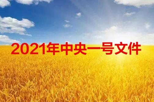 全文｜2021年中央一号文件发布